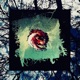 supernova feat MIDNIGHT MXNTE Single