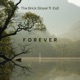 Forever feat ExE Radio Edit Single