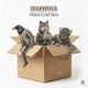 Shed Grief Box Single