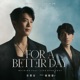 For a Better Day TV Series The Outlaw Doctor Interlude Song feat Lien Binh Phat Single