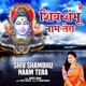 Shiv Shambhu Naam Tera Single
