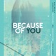 Because of you Remix feat Craig Lucas GameOver KrazyChris WS Remix Single