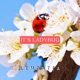 It s Ladybug feat PrinceWhateverer Single