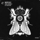 Unreal Dreams Single