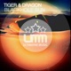 Blackhole Sun Single