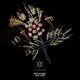 Save My Soul Single