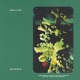 The Green in Your Dream Single