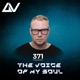 The Voice of My Soul 371