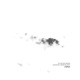 J ai une âme solitaire Excerpt for Wandering Souls Single