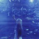 Solitude Single