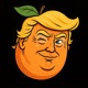 DONALD TRUMP Single