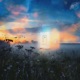 The Cold Before Sunrise Single