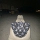 Tug Life EP