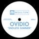 Endless Summer Single