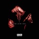 POLARIZE slowed to perfection Single