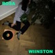 Rosa Single