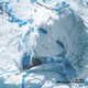 brxken truth Single