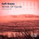 Winds Of Fjords minomus Epic Edit Single
