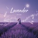 Lavender Single