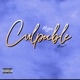 CULPABLE Single