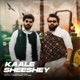 Kaale Sheeshe Single