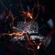 Muzica De Noapte feat What s Up Single