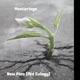 New Pies Single