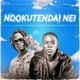 Ndokutendai Nei feat Tocky Vibes Remix Single