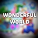 Wonderful World feat Tozoku Single
