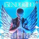 13ENDECIDO Single