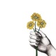 Danke Single