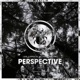 Perspective Single