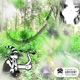 Voi Crash Single