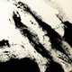 Splinter Single