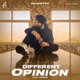 Different Opinion Single