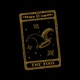 The Fool Single