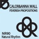 Feverish Propositions EP