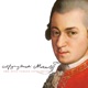 Mozart The Five Violin Concertos