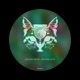 Ruling Days Single