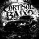 CORTISOL BAIXO EP