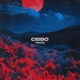 Ceibo Single