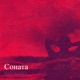 Соната Single