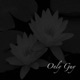 Only Guy feat K Mac B Wonder Single