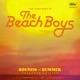 The Very Best Of The Beach Boys Sounds Of Summer Expanded Edition Super Deluxe
