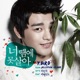 Y Bird From Jellyfish Single