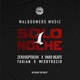 Solo1Noche feat Mixbybecio Fabian Single