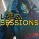 Labsessions Pt2 feat Ckull Single