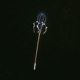 Endurance EP