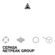 Netpeak Group EP