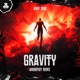 Gravity Angerfist Remix Single